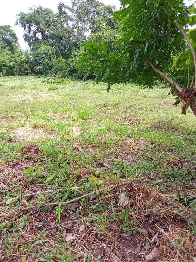 Excelente oportunidad se vende lote para proyecto agrícola, campestre, recreativo o habitacional cerca a Sahagún